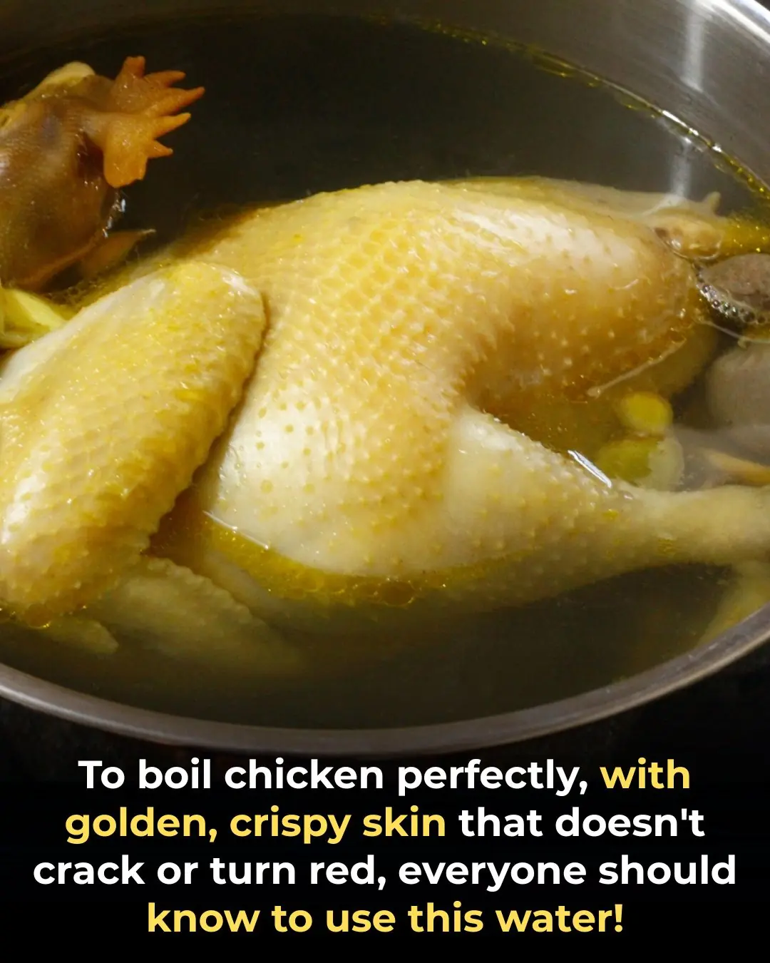 To boil chicken perfectly, with golden, crispy skin that doesn't crack or turn red, everyone should know to use this water!