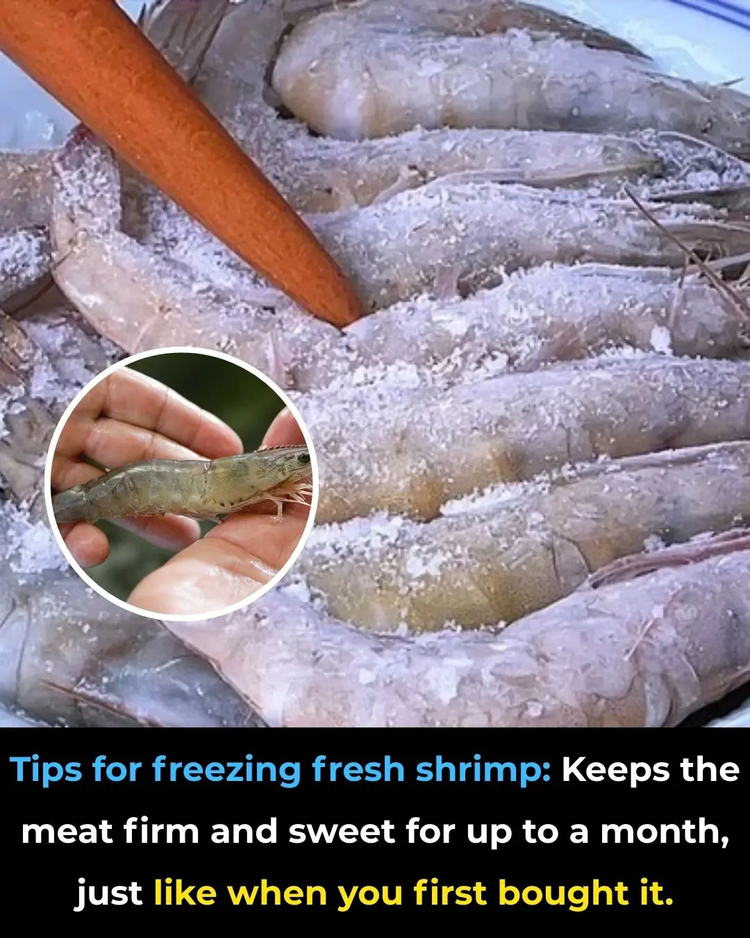 Tips for freezing fresh shrimp: Keeps the meat firm and sweet for up to a month, just like when you first bought it.