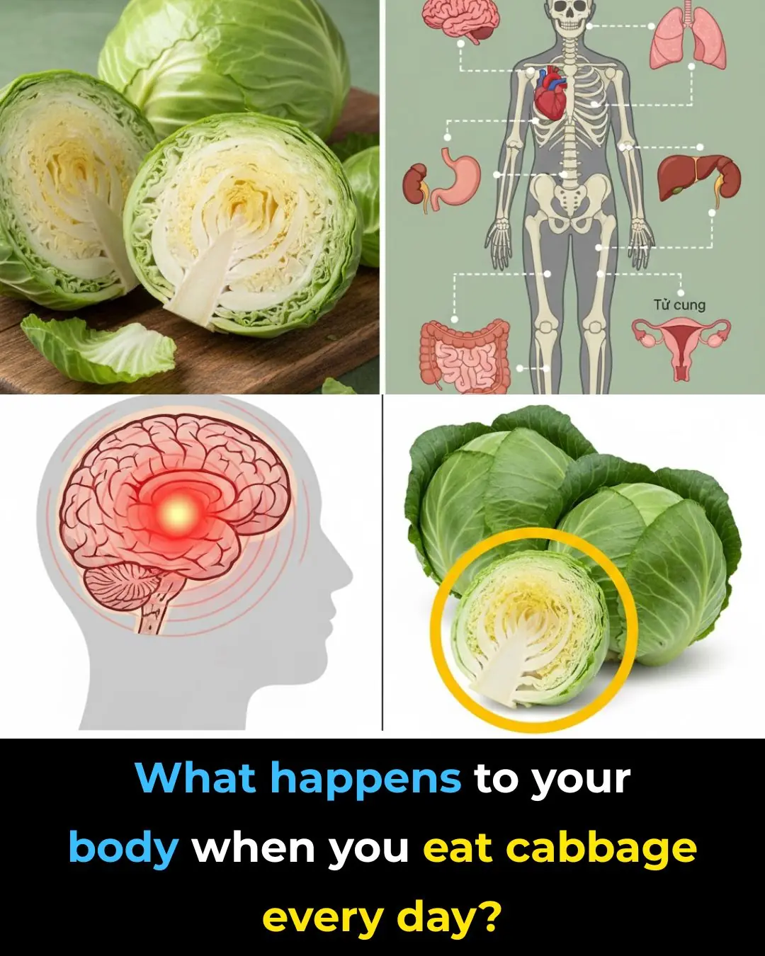 What Happens to Your Body When You Eat Cabbage Every Day?