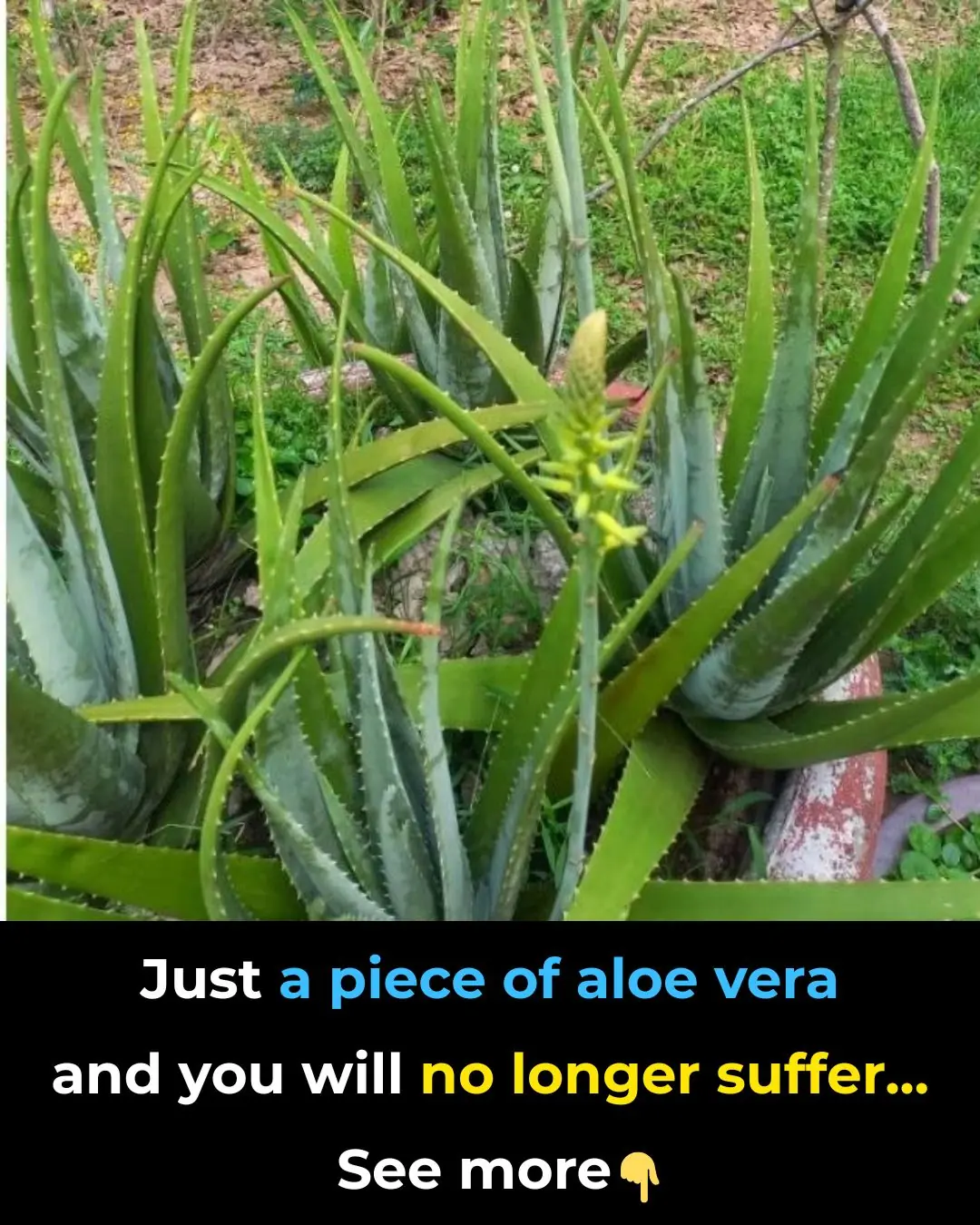 You will be surprised at its effects