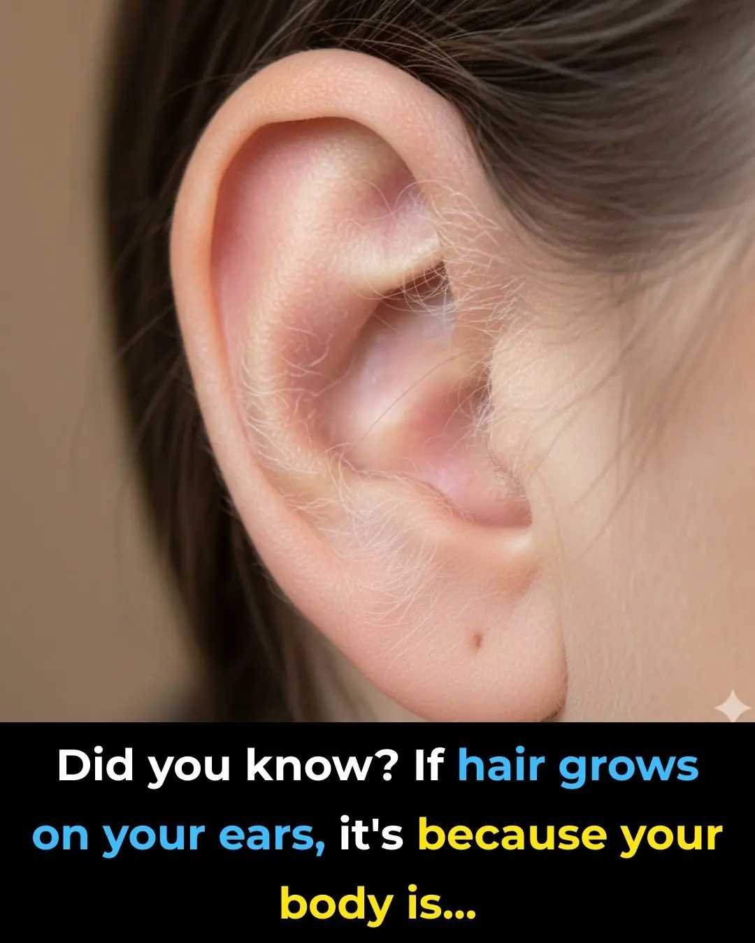 DID YOU KNOW? If hair grows on your ears, it’s because your body is responding to changes — not because something is “wrong.”