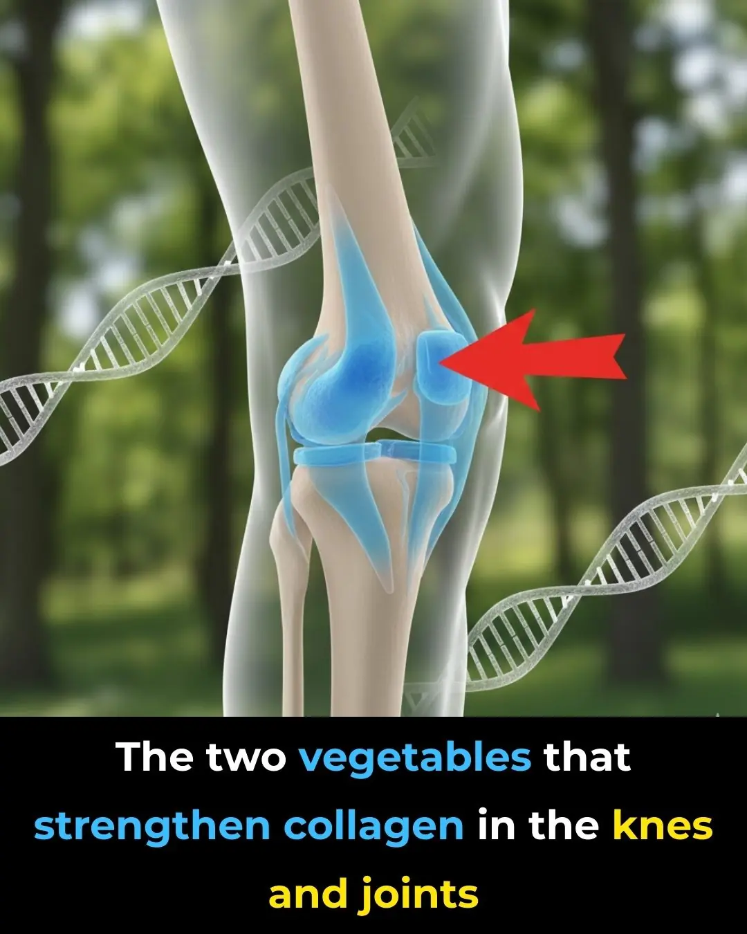 Could These Two Everyday Vegetables Help Support Collagen in Your Knees and Promote Joint Comfort?