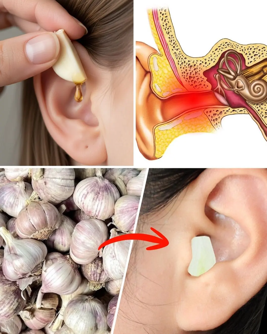 Garlic for Ear Infections: How to Relieve Ear Discomfort and Support Hearing Naturally