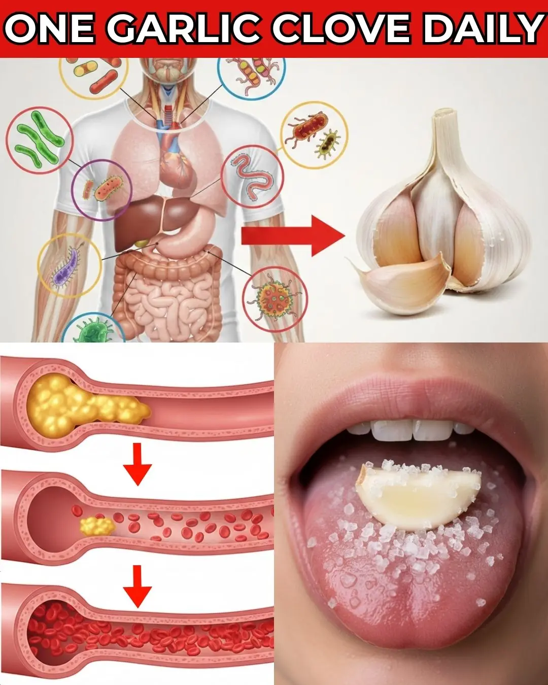 11 Reasons Why You Should Eat One Garlic Clove Daily