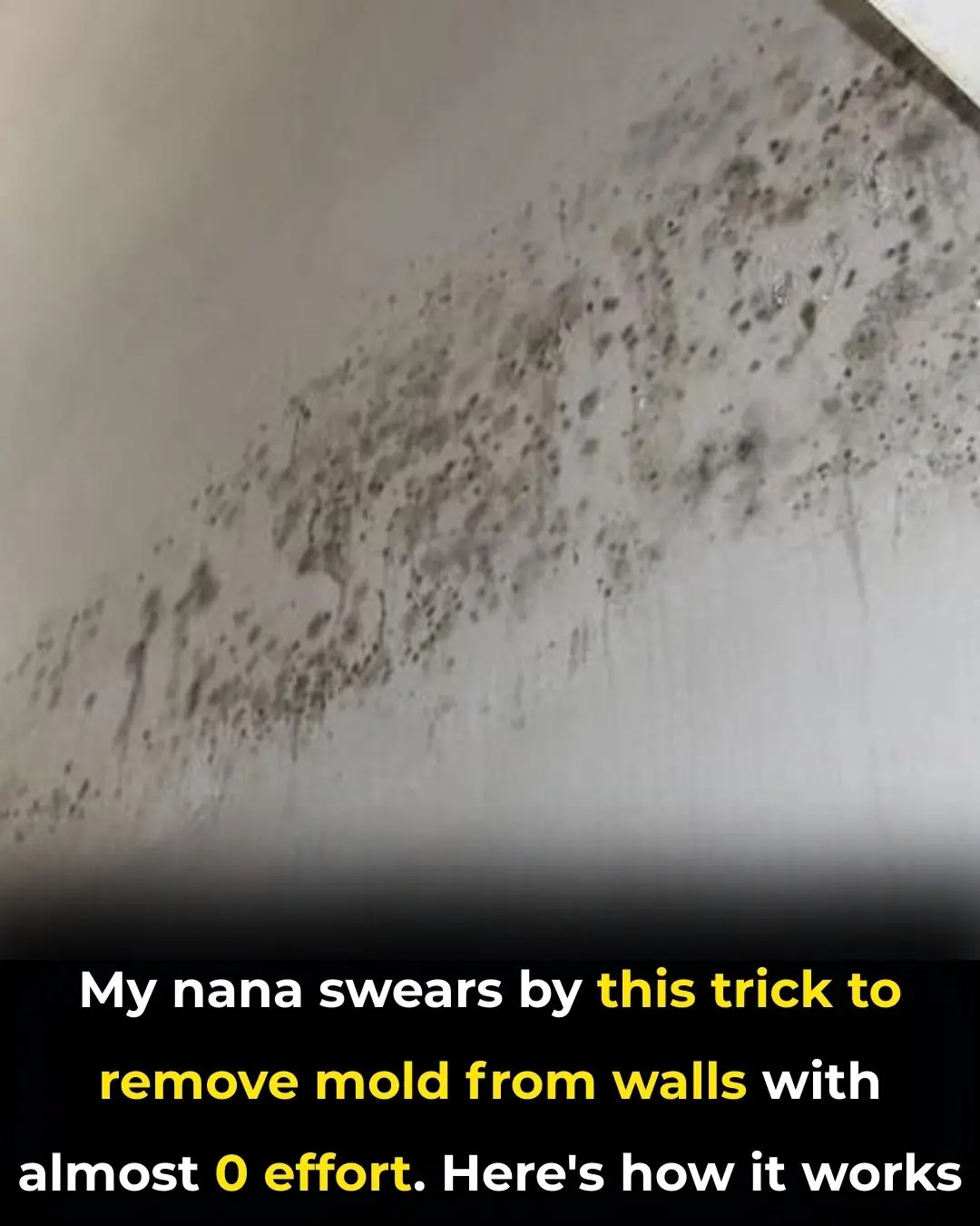 Simple Trick to Remove Mold From Walls