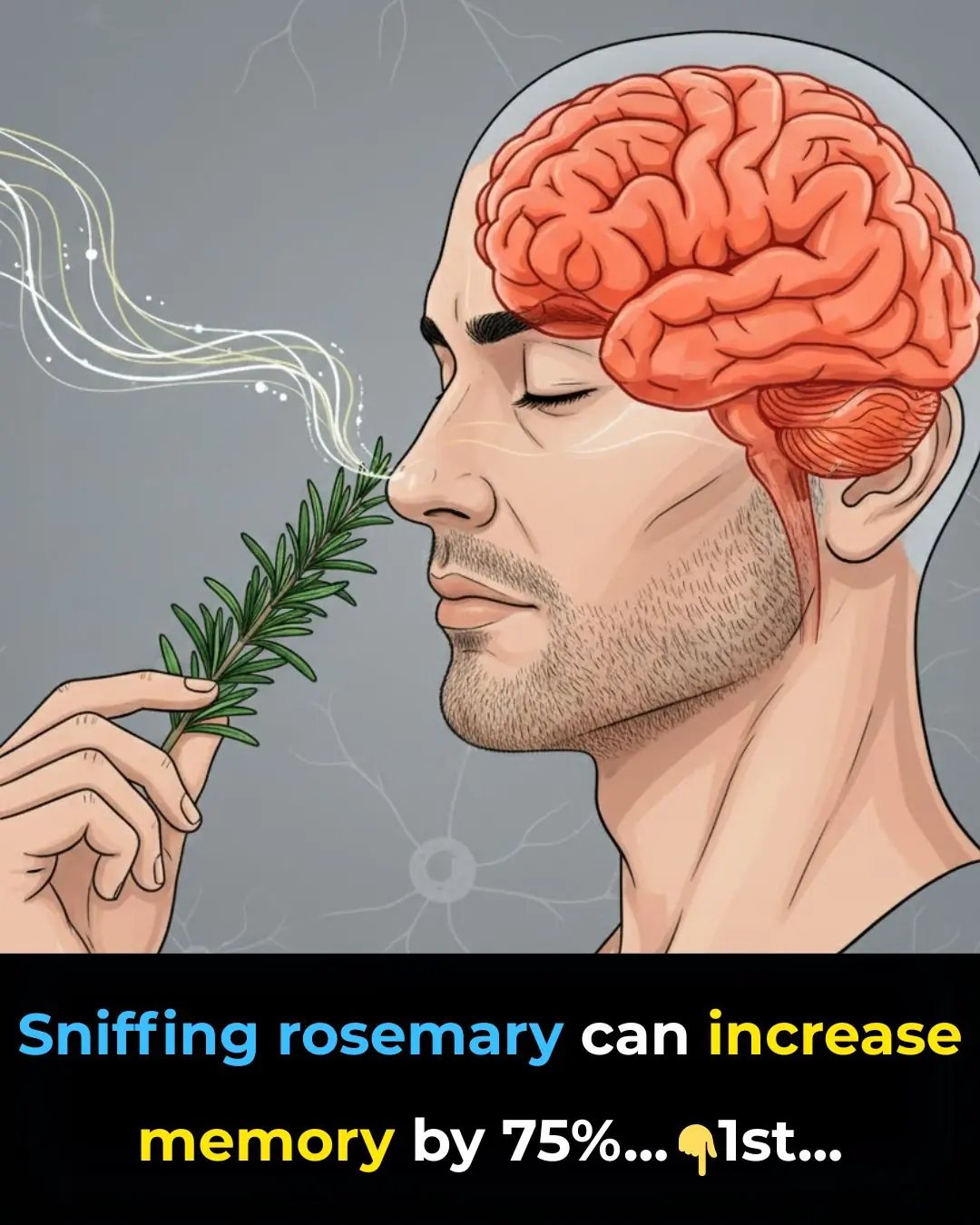 Does Sniffing Rosemary Really Boost Memory