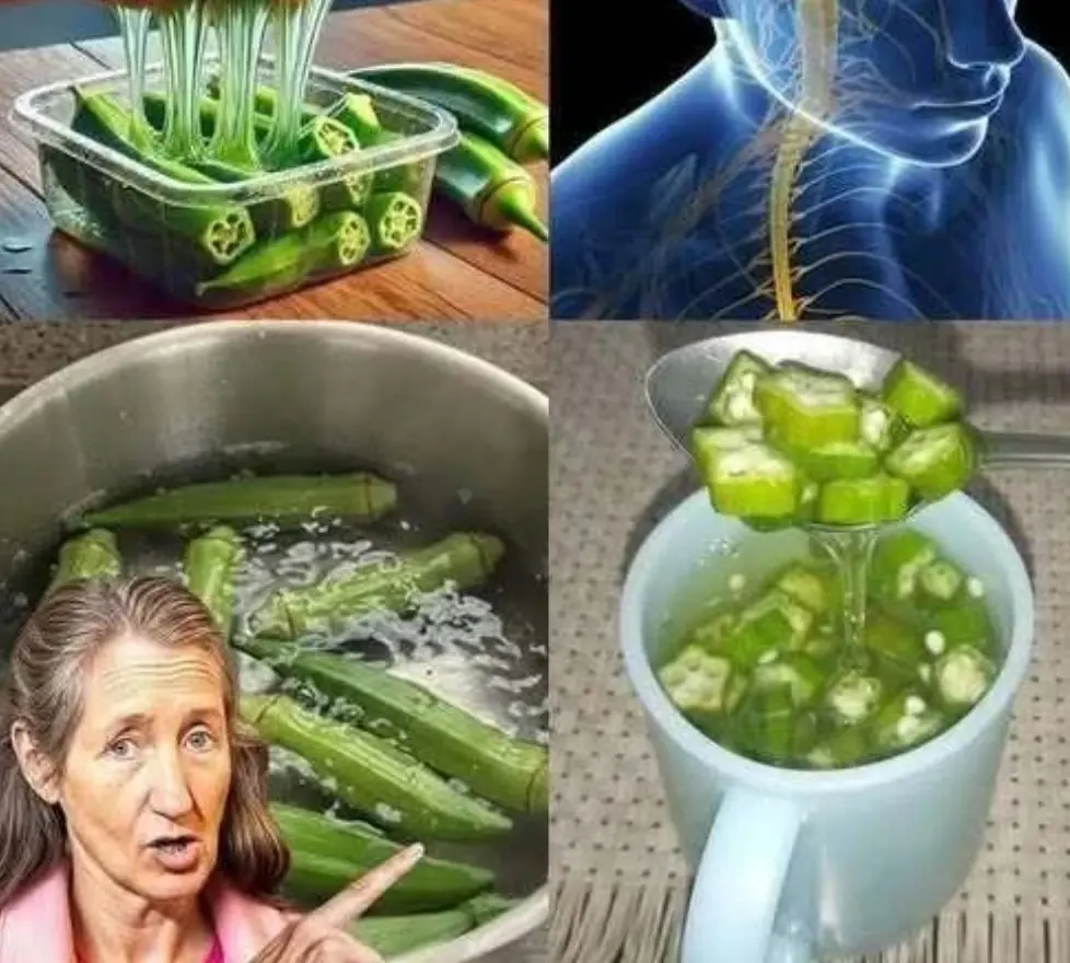 cooked okra 10 things to know about Okra