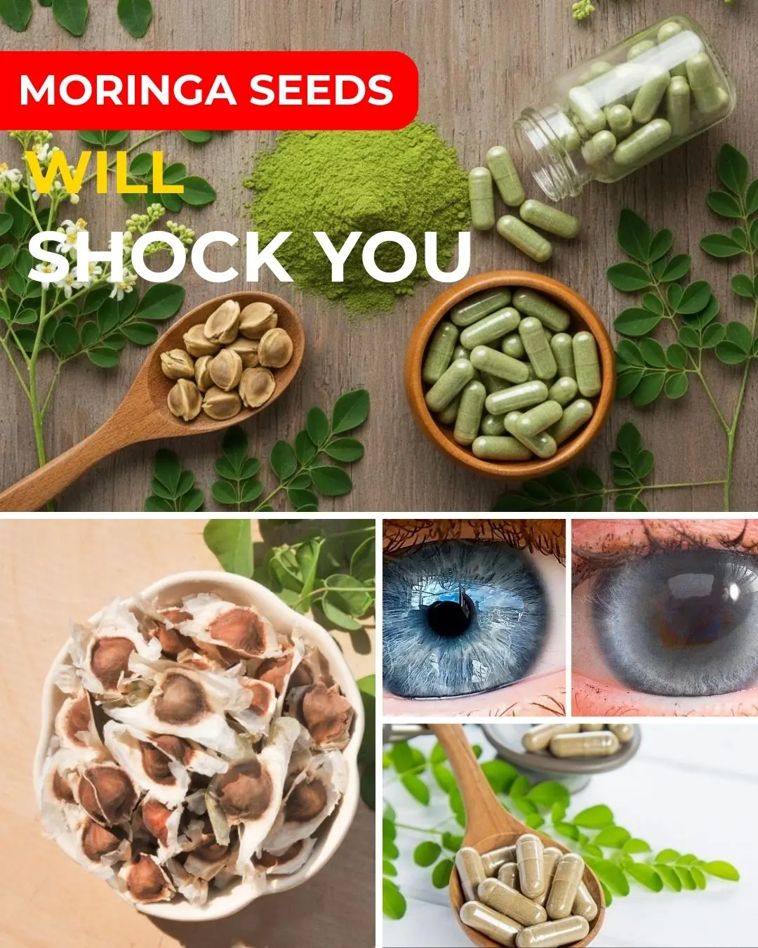 12 Moringa Seed Benefits Most People Overlook: Practical Wellness Discoveries and Everyday Nutrition Insights