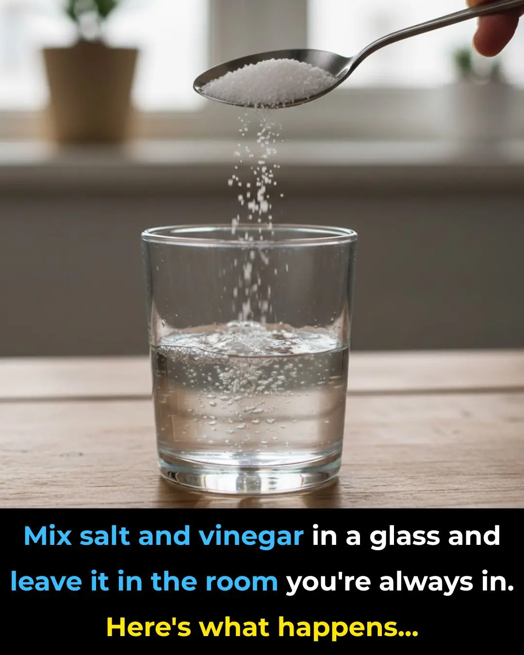 Discover: A Glass of Water, Vinegar, and Salt Can Cleanse Your Home