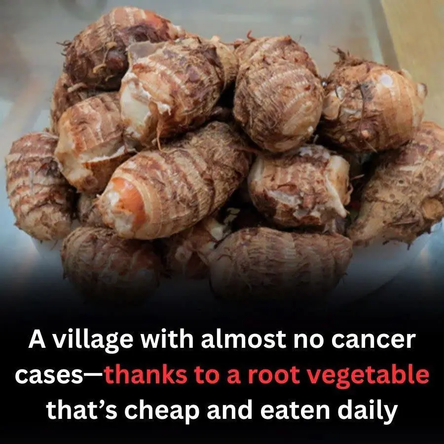 A Village With Strikingly Low Cancer Rates — And Their Secret Isn’t Expensive Supplements, But a Humble Root Vegetable Eaten Daily