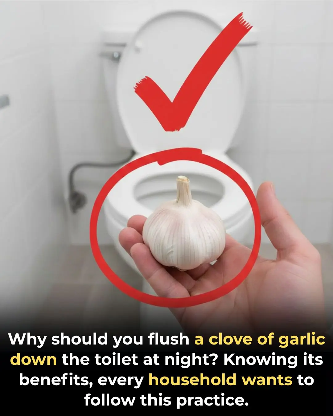 Why should you put a clove of garlic in the toilet at night? Knowing its uses, every family wants to follow suit