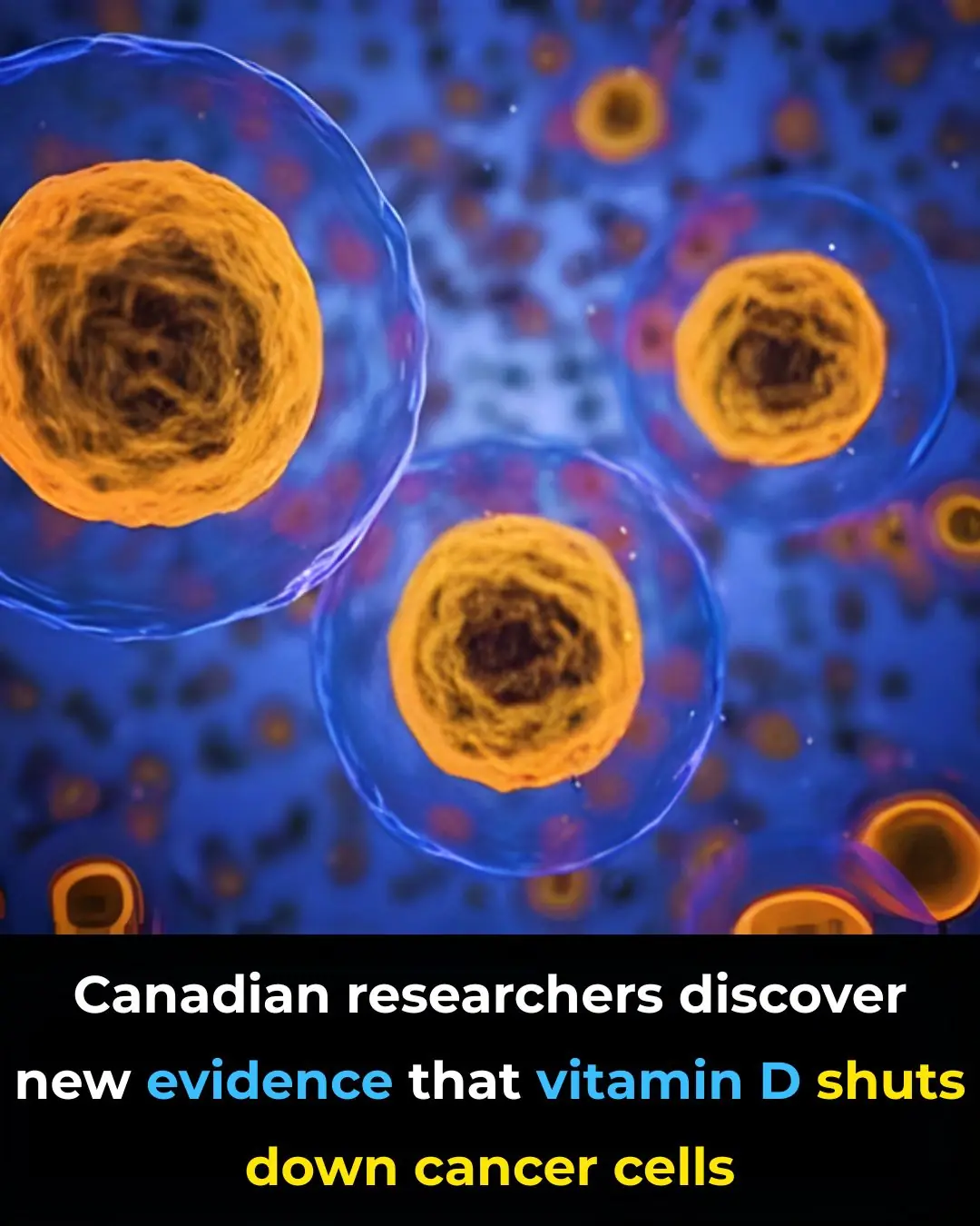 Canadian researchers discover new evidence that vitamin D shuts down cancer cells