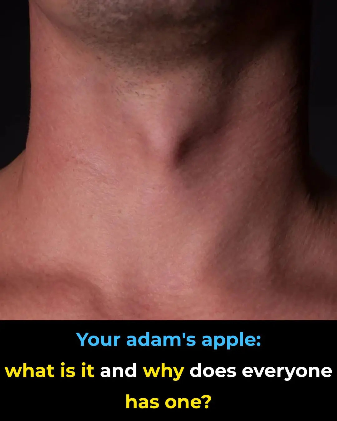 What Is the Adam’s Apple