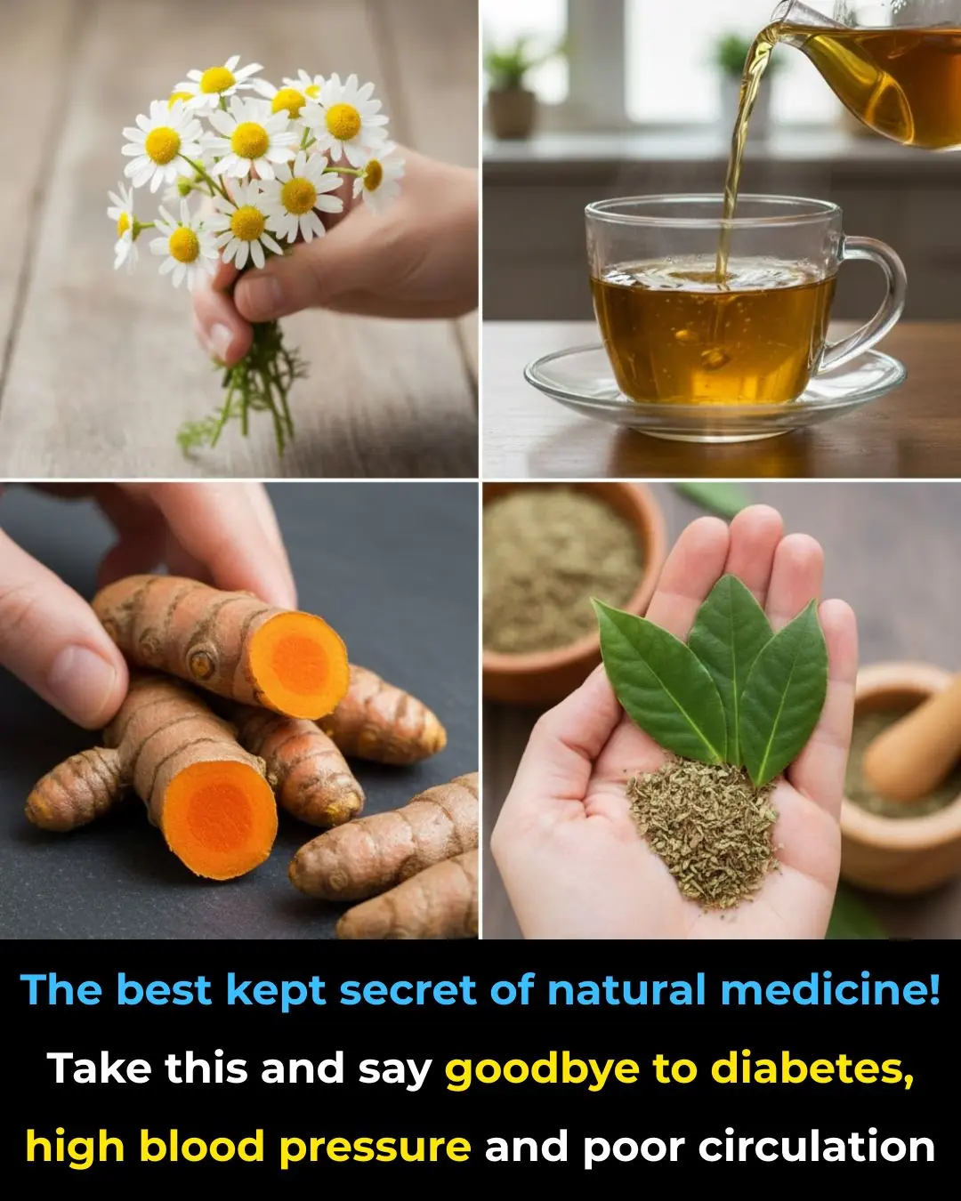 The Best-Kept Secret of Natural Medicine Revealed! Goodbye Diabetes and High Blood Pressure