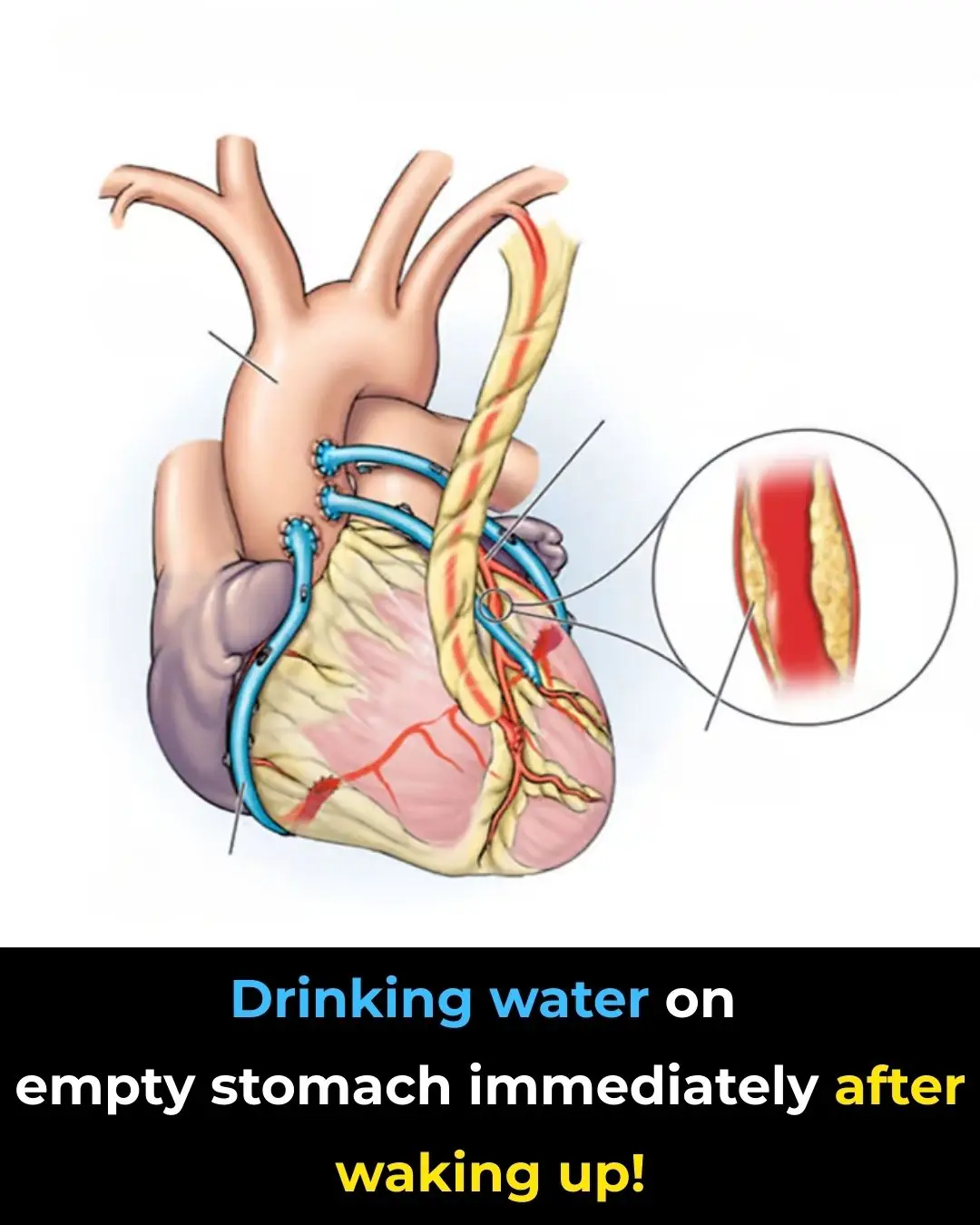 🚰 Is Drinking Water First Thing in the Morning Beneficial? What Science Says