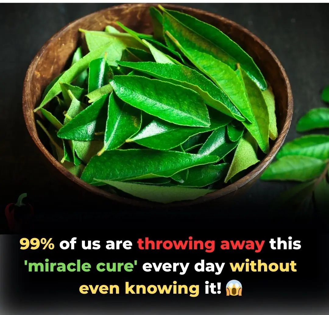 Curry Leaves: The "Hidden Gem" of Ayurveda for Modern Longevity