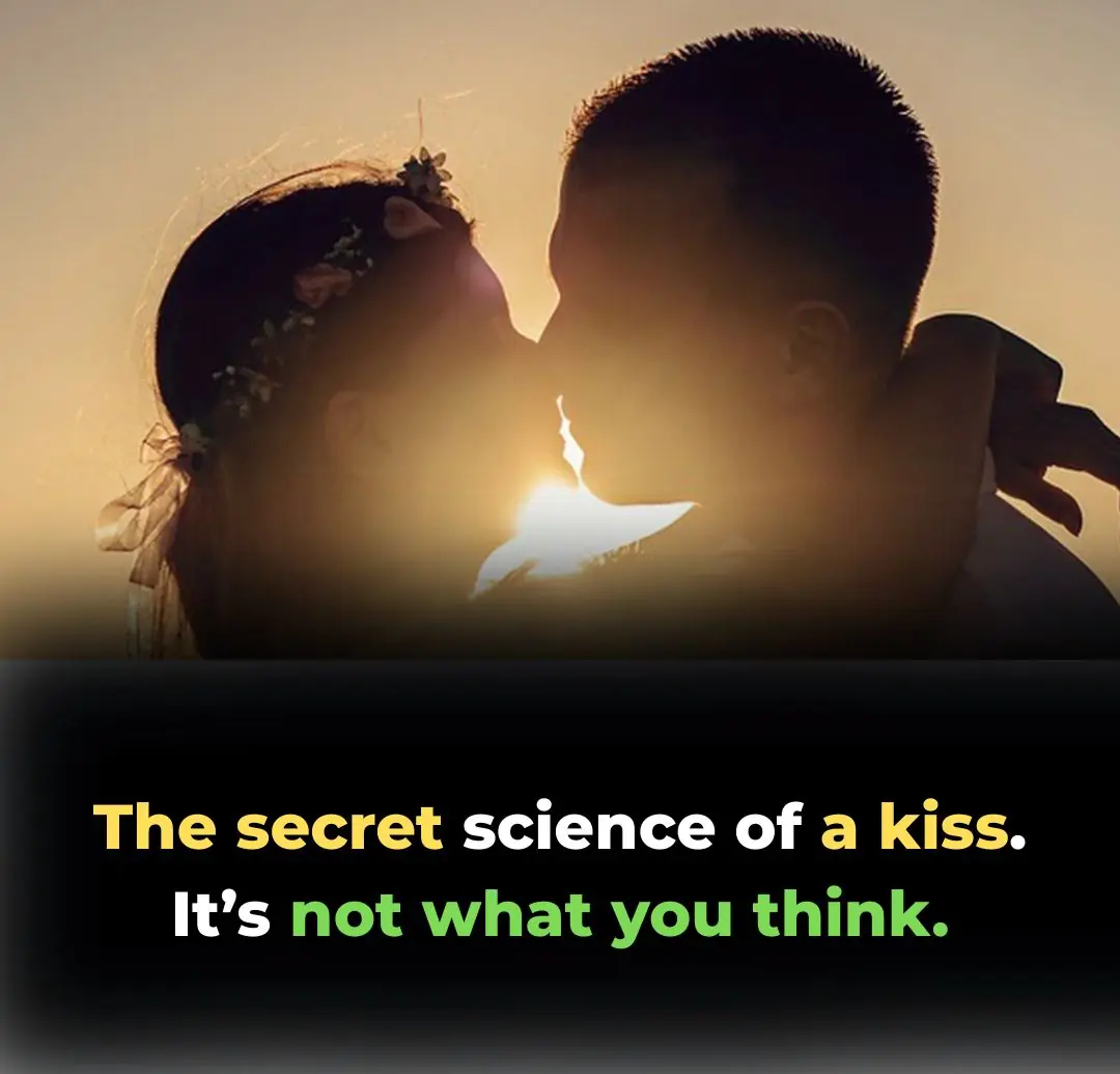The Neuroscience of a Deep Kiss: Why Our Brains Crave Romantic Connection