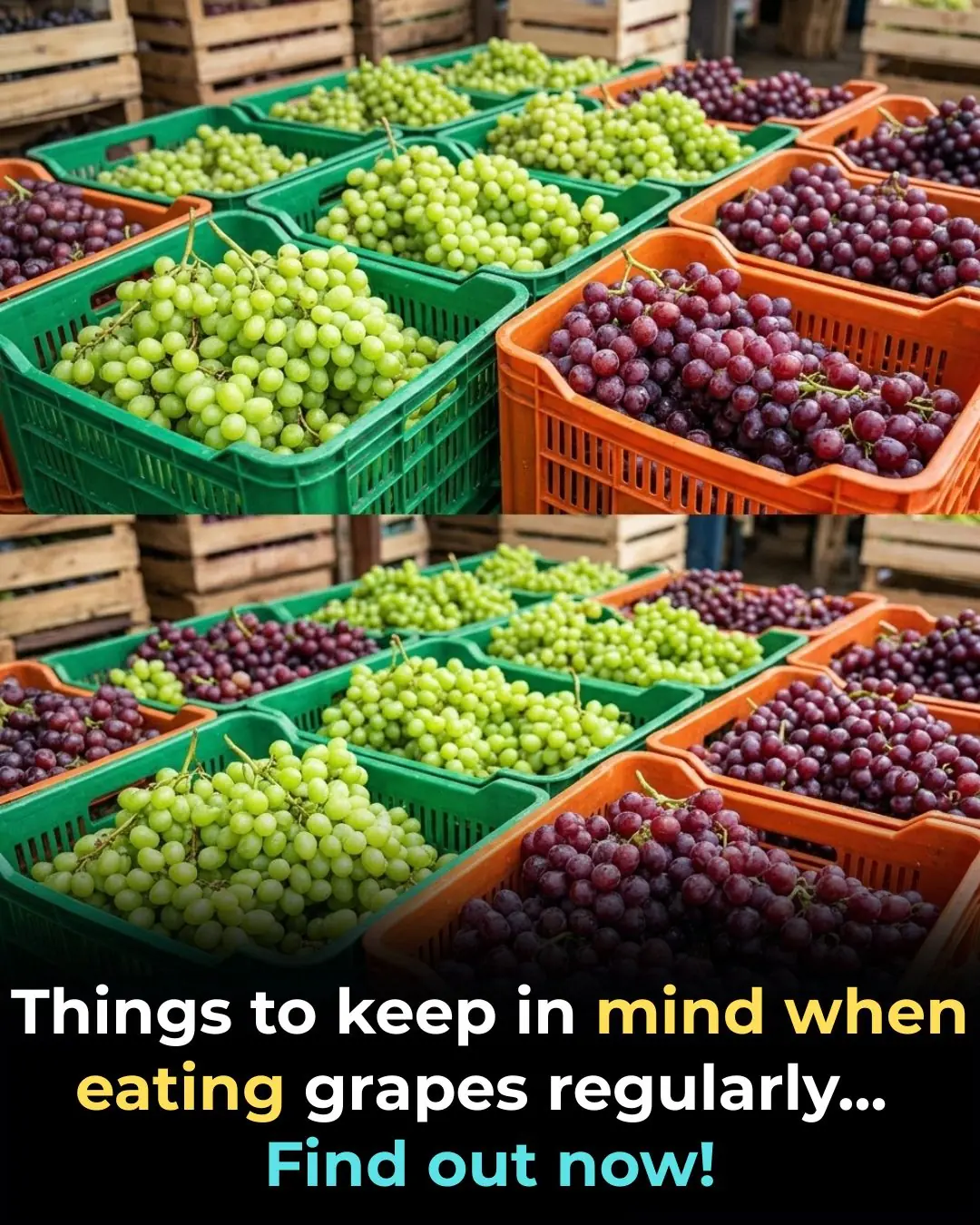 Doctors Reveal That Eating Grapes May Offer Powerful Health Benefits