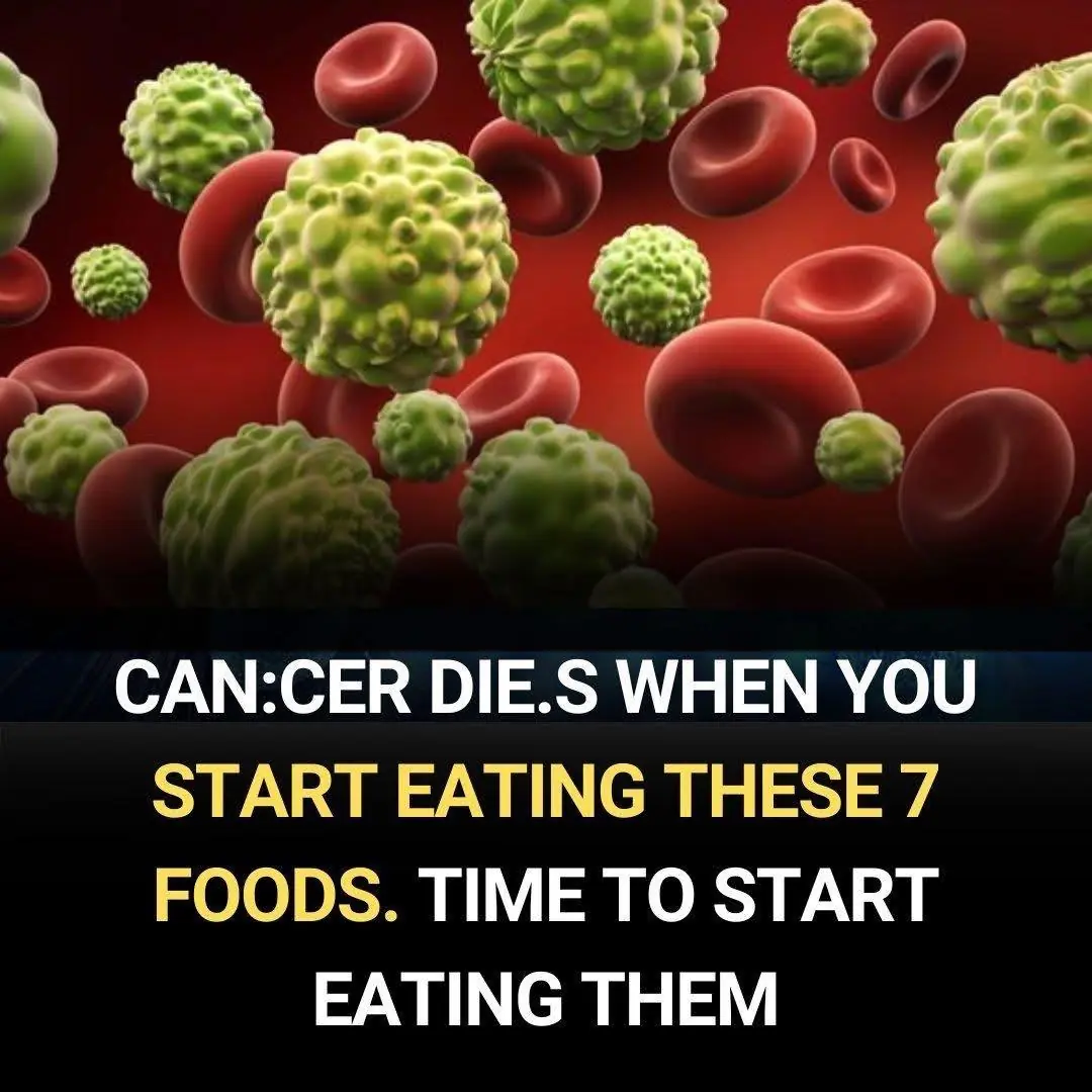 8 Everyday Foods That Support Long-Term Health and May Help Reduce Cancer Risk