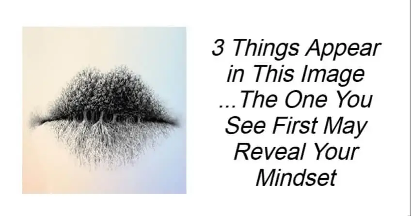 3 Things Appear in This Image