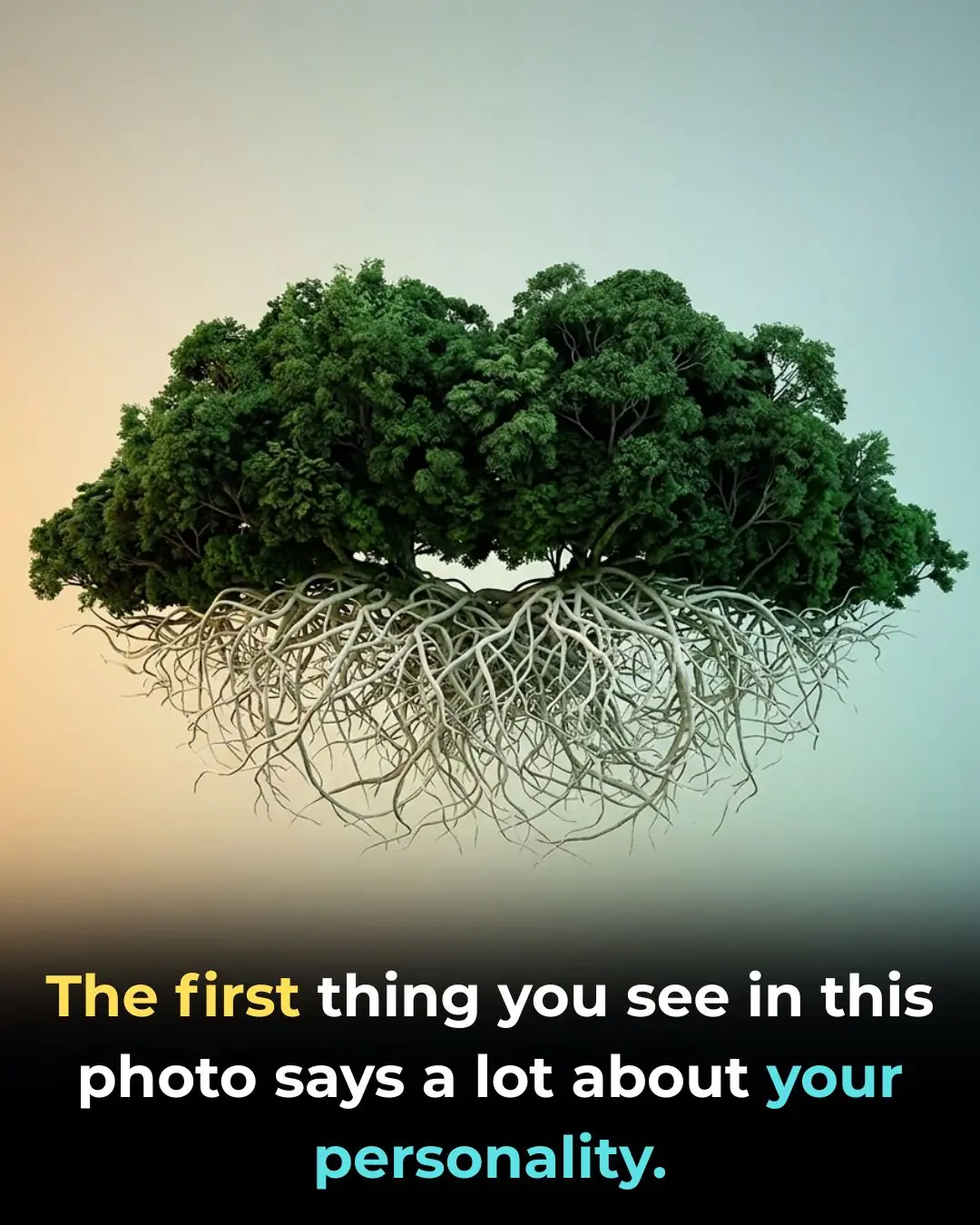 3 Things Appear in This Image