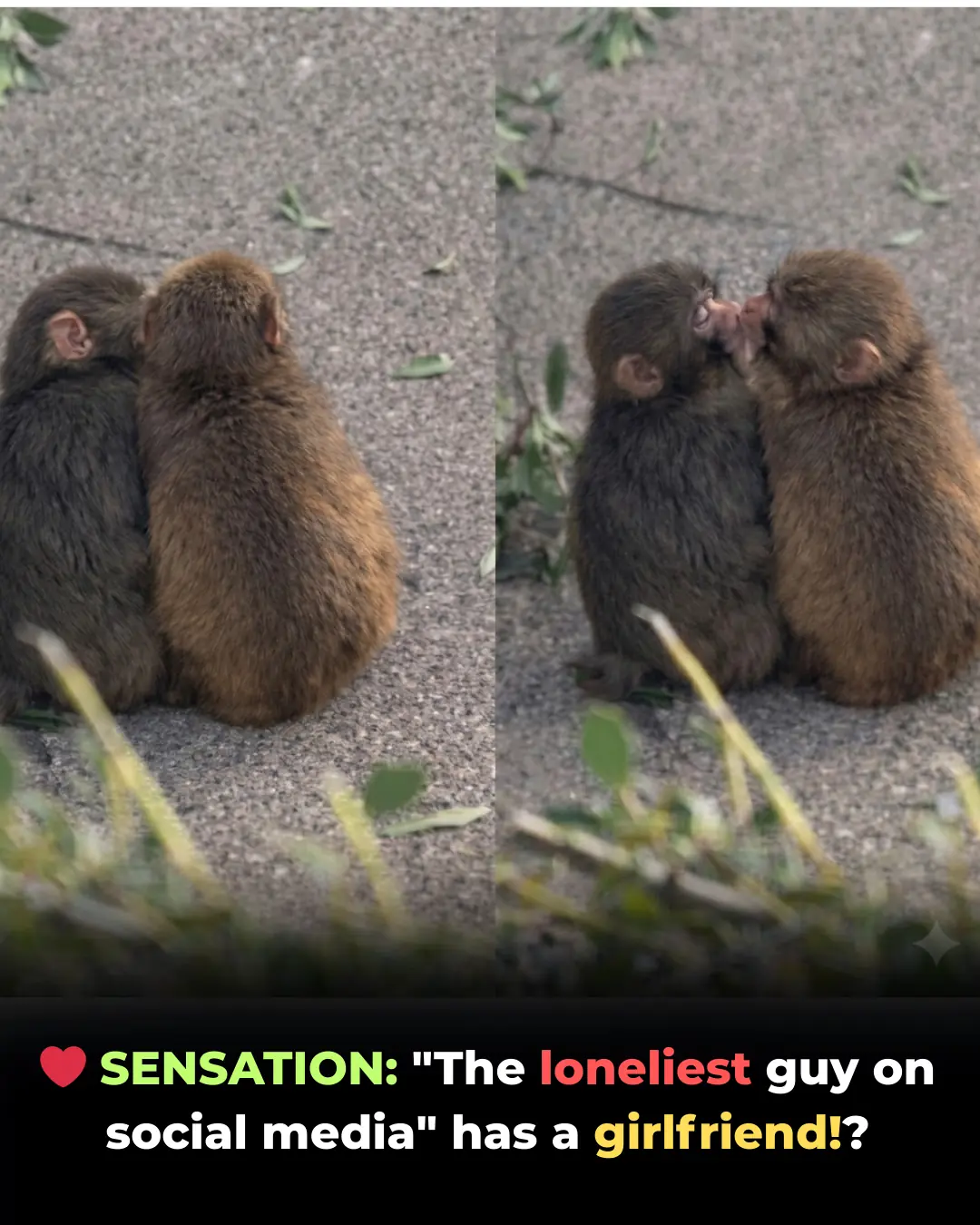 ❤️ SENSATION: "The Loneliest Guy on Social Media" Finally Has a Girlfriend!?