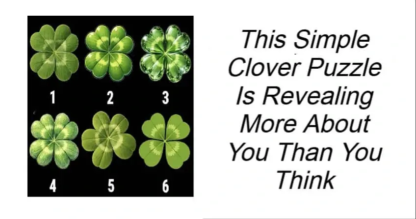 Simple Clover Puzzle