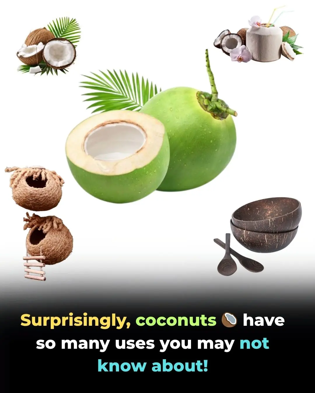 The Incredible Benefits of Coconut: From Decorative Items to Health-Boosting Properties