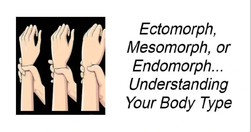 Understanding Your Body Type