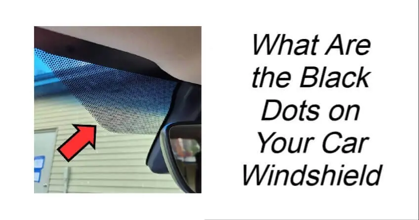 What Are the Black Dots on Your Car Windshield