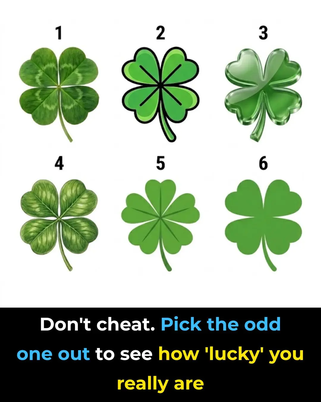 Pick The Odd One Out To See How 'Lucky' You Really Are...