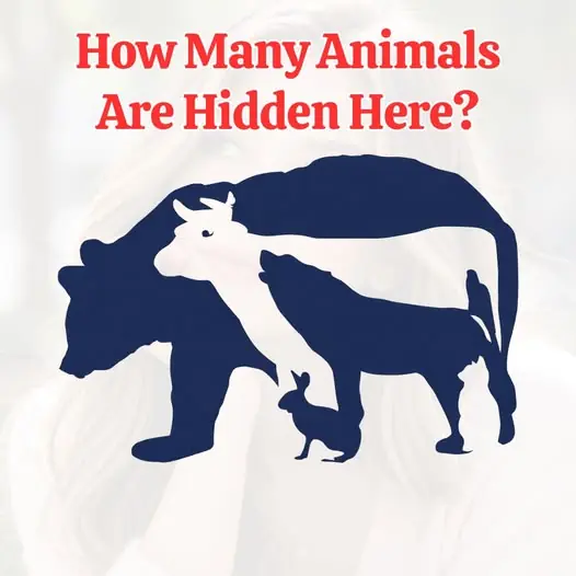 The animals you see reveal whether or not you are a lucky person.