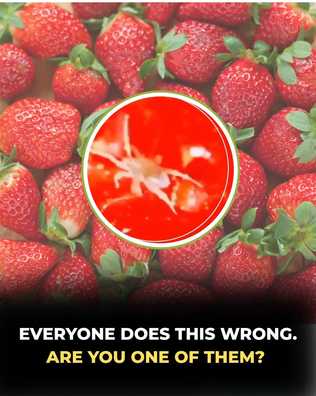 Everyone Does This Wrong: The Hidden Truth About Washing Strawberries Properly