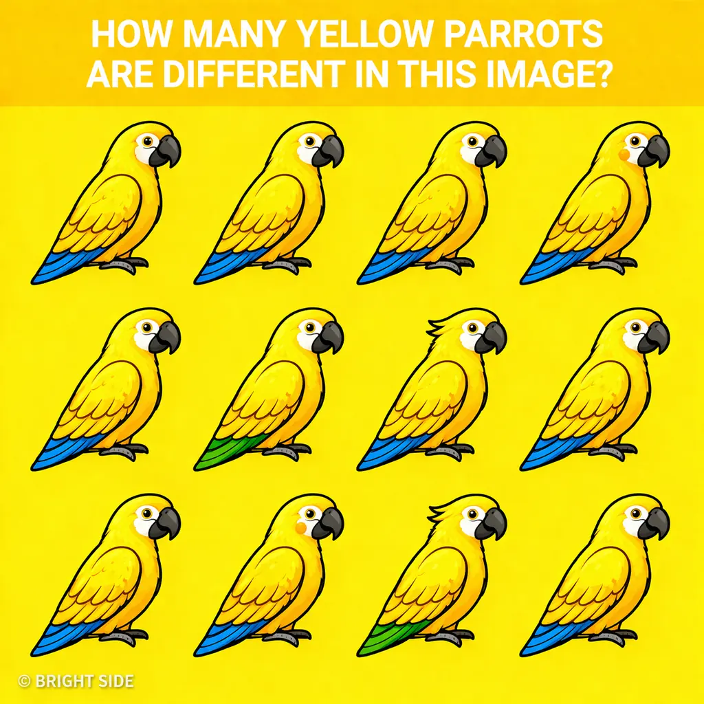 🦜 CAN YOU SPOT THE OUTLIERS? THE ULTIMATE VISUAL TEST! 🦜