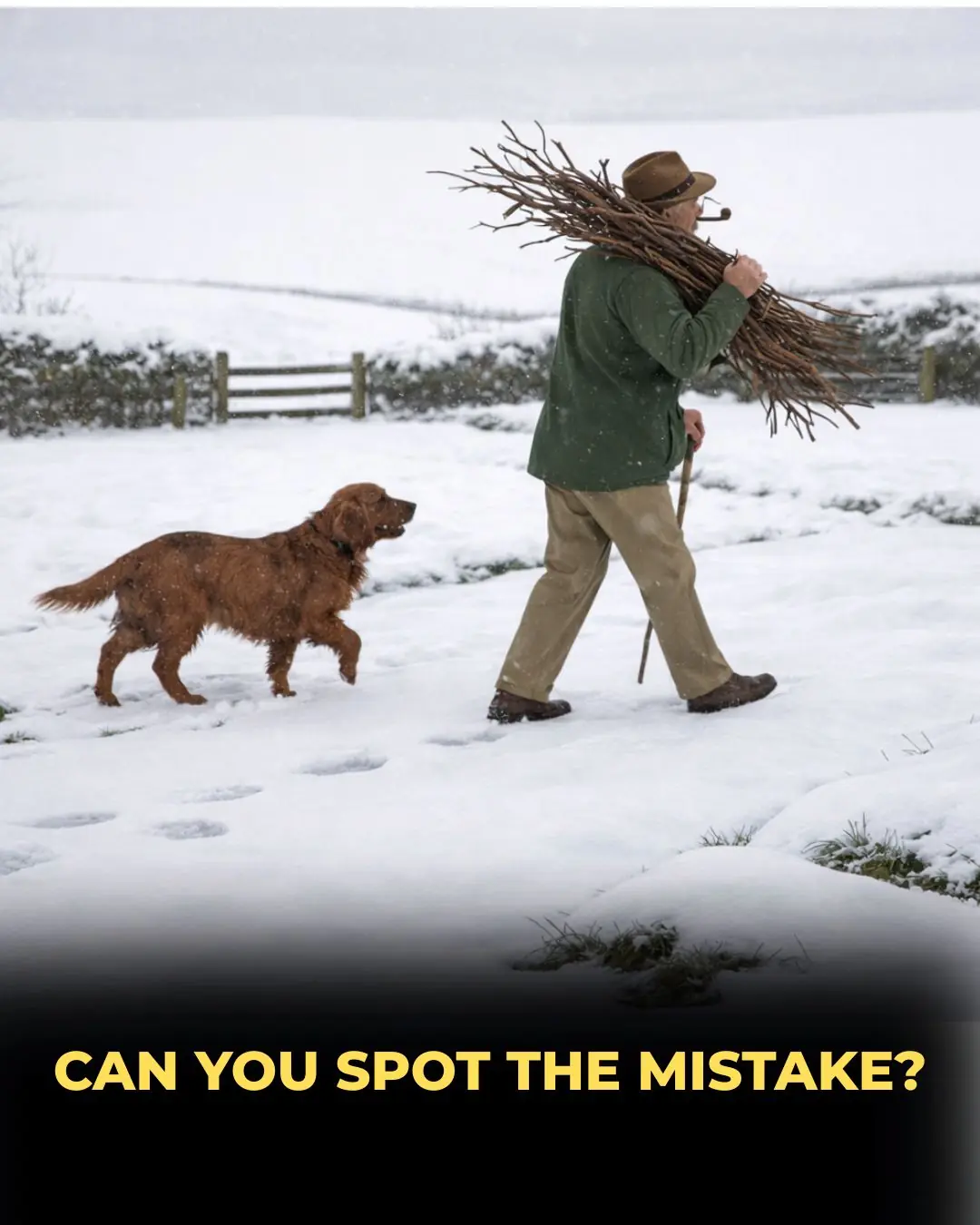 Can You Spot the Error? Only 5% of People Can Find the Mistake in This Snowy Scene Under 10 Seconds!