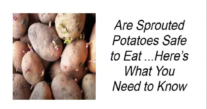 Are Sprouted Potatoes Safe to Eat