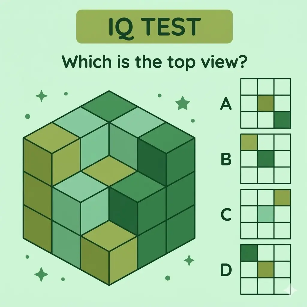 🧠 IQ Puzzle Explained: Which Option Shows the Correct Top View?