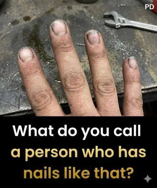 The Secret Behind Your Fingernails: What This Viral Nail Shape Really Says About You