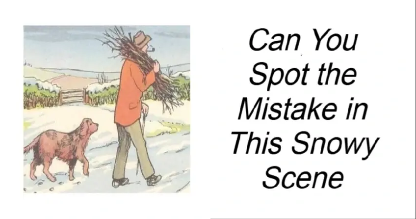 Can You Spot the Mistake in This Snowy Scene
