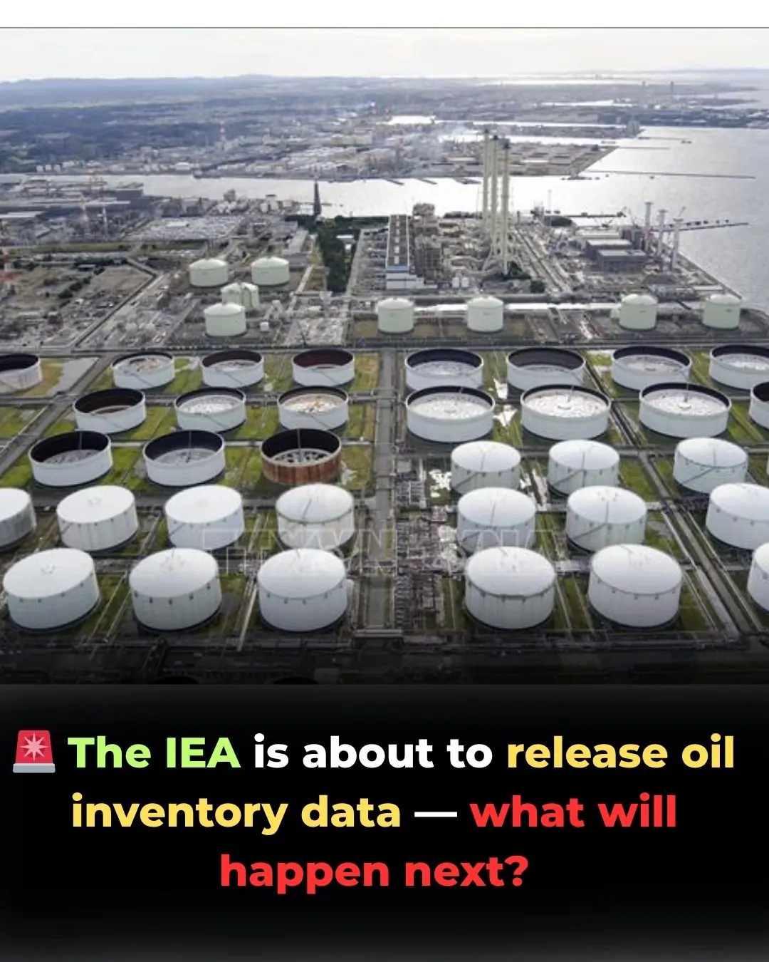 IEA Signals Readiness to Release Oil Reserves as Global Energy Tensions Rise