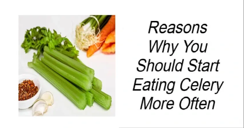 Reasons Why You Should Start Eating Celery More Often