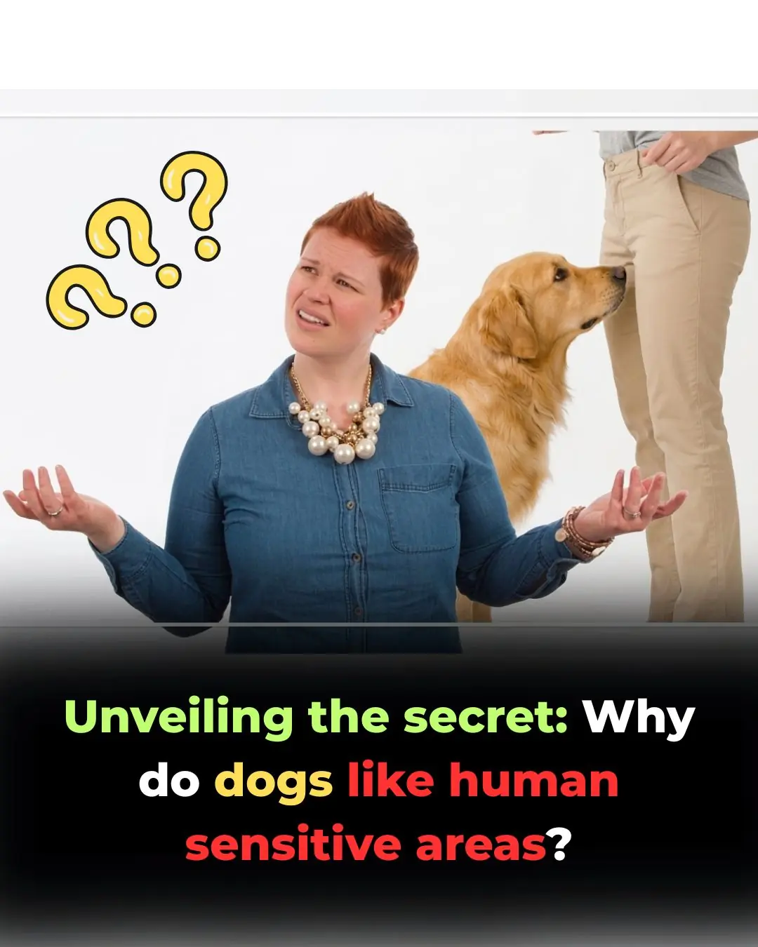 Why Do Dogs Smell Human Private Areas? A Scientific Explanation