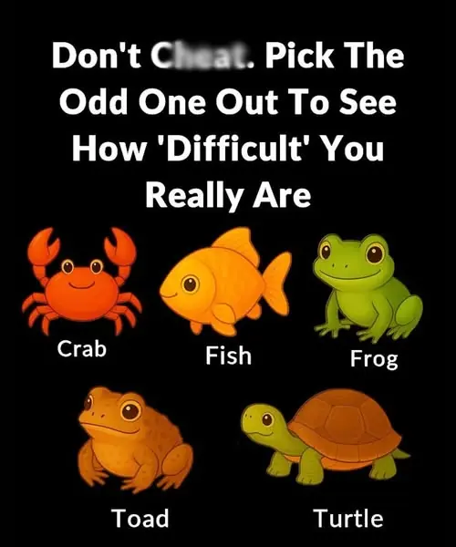 Pick The Odd One Out To See How ‘Difficult’ You Really Are...