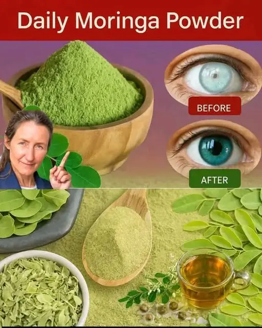 NATURAL HEALTH TREND: Could Adding Moringa Leaves to Your Daily Routine Support Kidney Wellness and Overall Health?