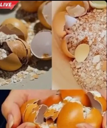 A Simple 3-Ingredient Kitchen Blend Many Adults Over 60 Use to Support Joint Comfort