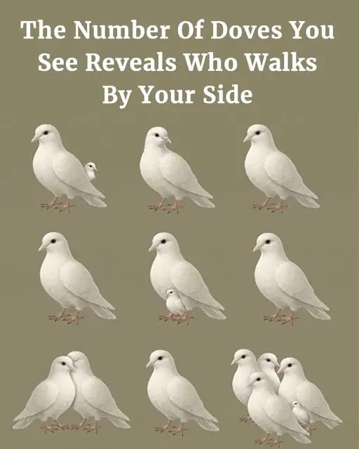 The Number Of Doves You See Reveals Who Walks By Your Side...