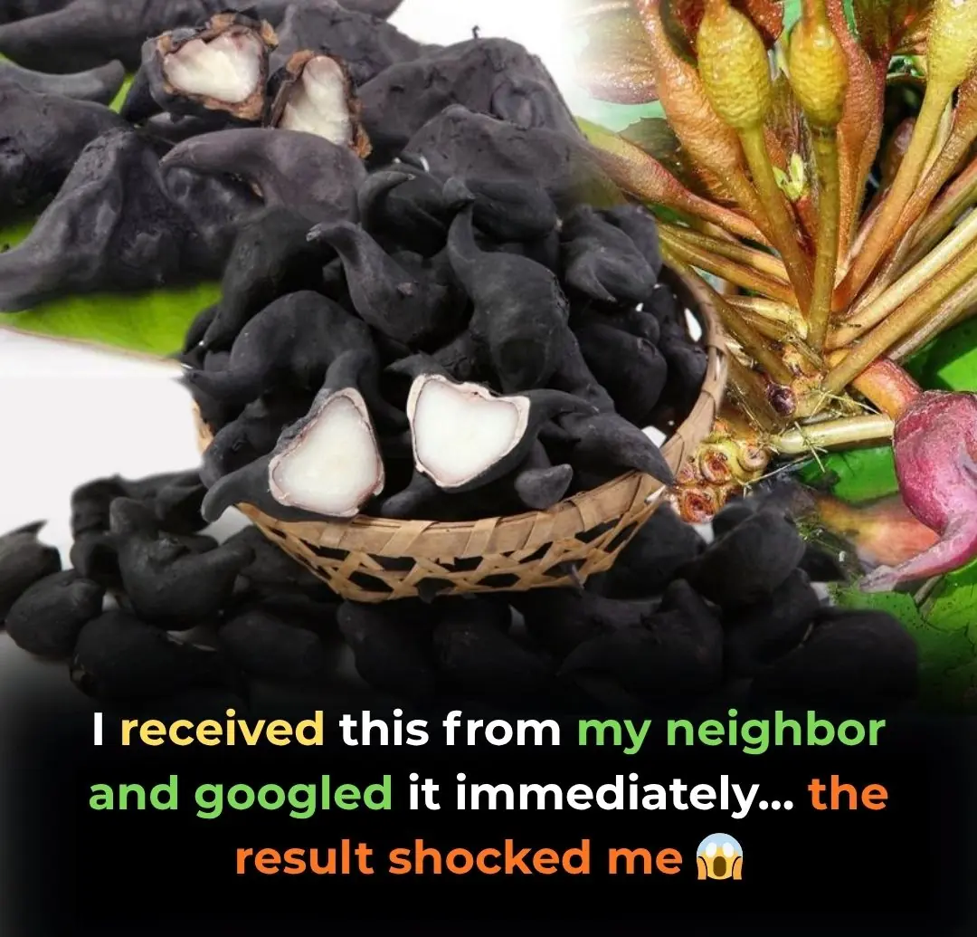 Water Caltrop: The "Buffalo Horn" Superfood You Should Know