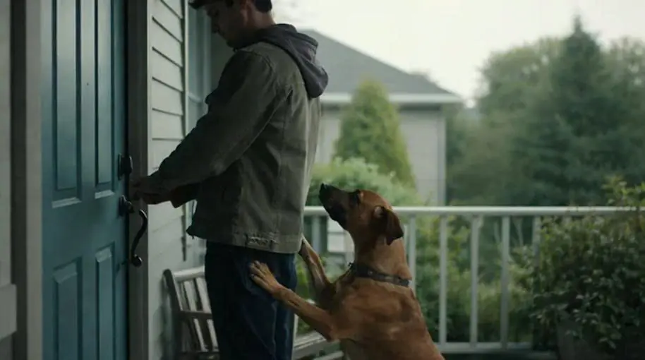 An unfamiliar dog appeared out of nowhere and started circling me, preventing me from opening my door.