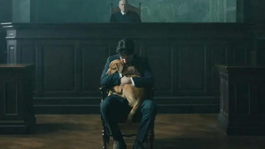 The accused stubbornly insisted that the only witness be brought before him, and no member of the court could imagine that this witness was an innocent dog