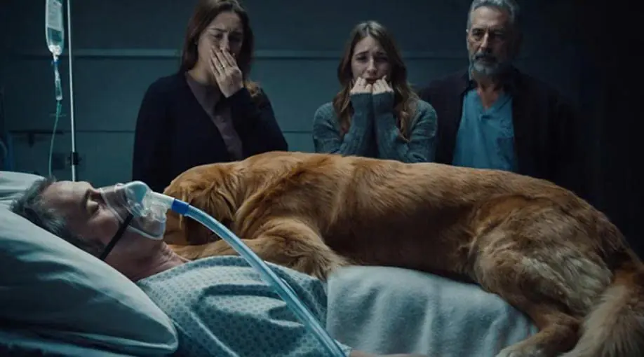 For days, he kept repeating the same name, but no one could understand who he was calling…